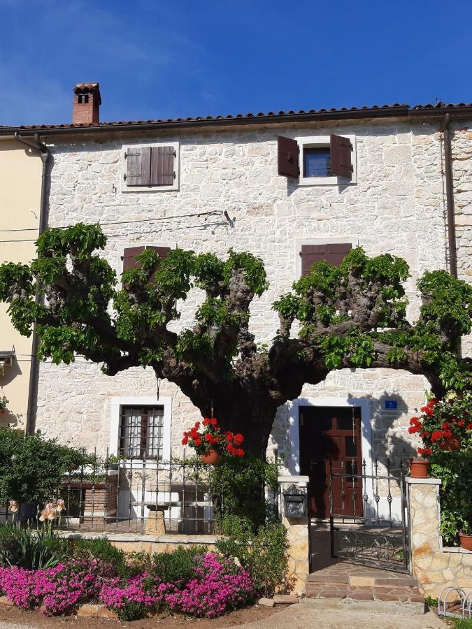 Casa Girasole Villa Buje Exterior photo